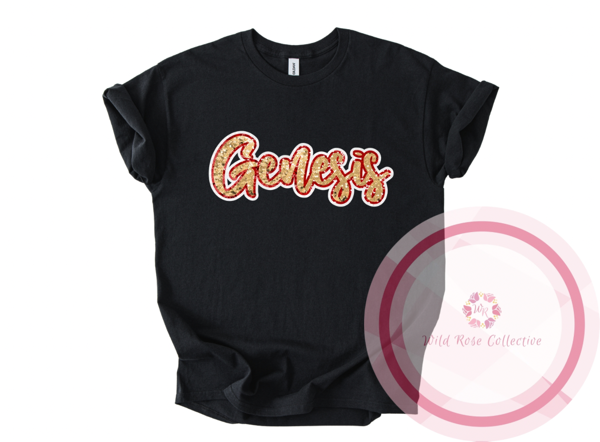 Genesis Faux Sequins Tshirt