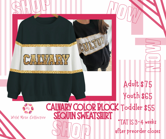 *PREORDER* Calvary Color Block Sequin Sweatshirt