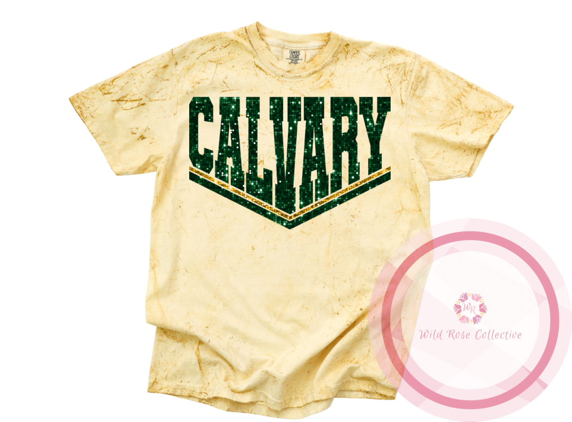 Calvary Dual Line Faux Sequins - Color Blast