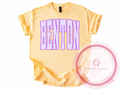 Benton Seersucker Tshirt